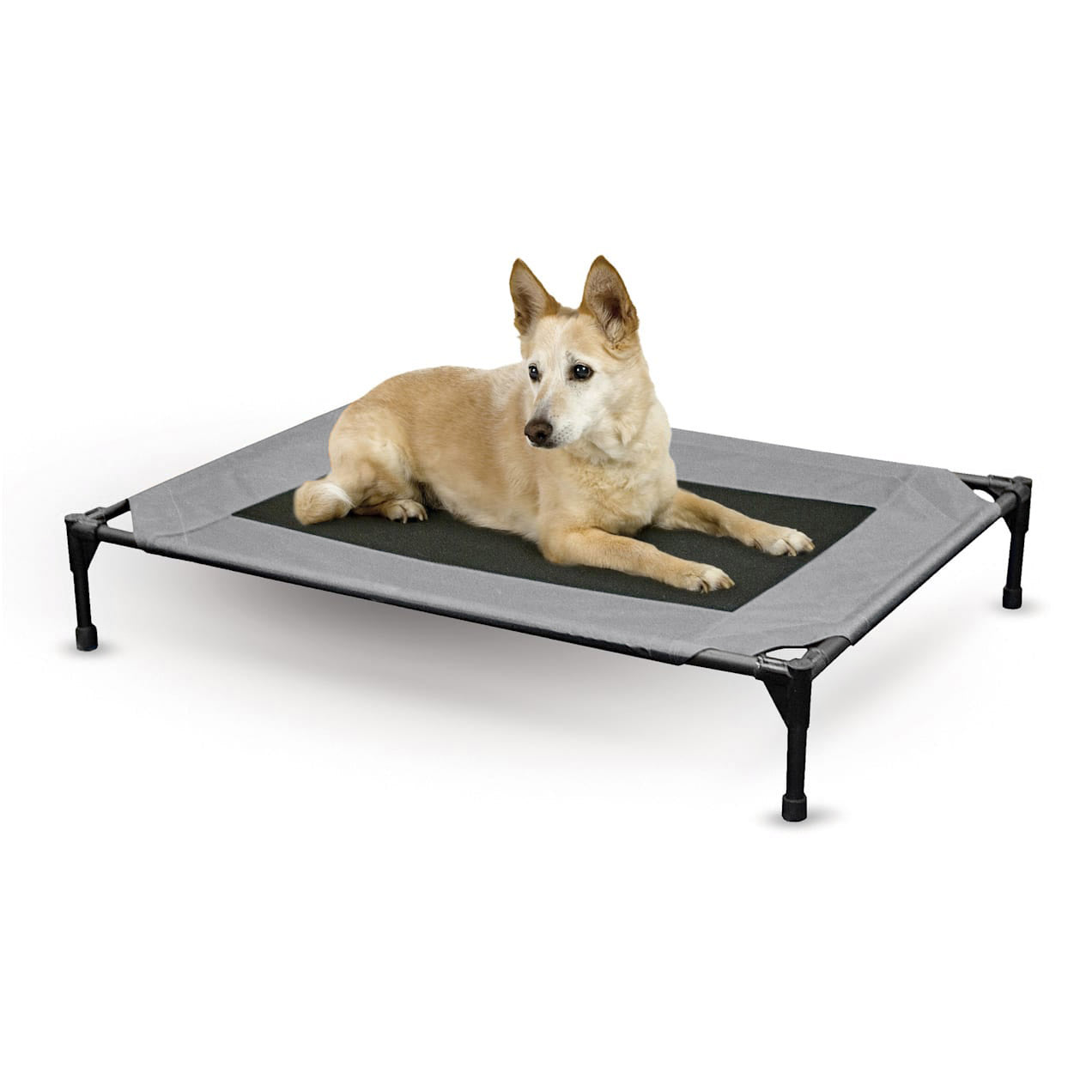Elevated Pet Cot